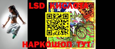 ПСИЛОЦИБИНОВЫЕ ГРИБЫ Новозыбков