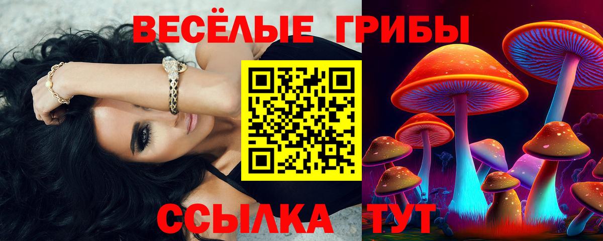 Топки  Галлюциногенные грибы Psilocybe  Вход с VPN  Галлюциногенные грибы мицелий 